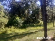 Land parcel, Ground area for sale at the seaside of Ureki, Georgia. Land with sea view. Photo 8