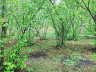 Купить частный дом с земельным участком в пригороде Озургети, Грузия. Фото 2