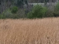 Land parcel, Ground area for sale in a resort district of Kutaisi, Georgia. Photo 2