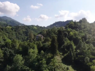 იყიდება მიწის ნაკვეთი ქალაქგარეთ ბათუმი, ორთაბათუმი. მდინარესთან. ფოტო 5