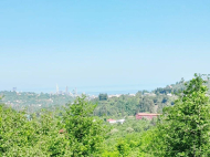ყიდვა კერძო სახლის მიწის ნაკვეთით ქალაქგარეთ ბათუმში, ახალშენი. ფოტო 10