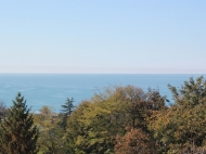 Renovated house for sale in the suburbs of Batumi, Makhindjauri. With view of the sea Photo 1