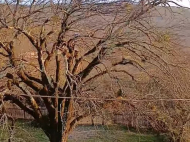 Купить частный дом в курортном районе Цхалтубо, Грузия. Фото 17