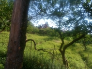 Земельный участок в Батуми в 300 метрах от моря. Фото 5