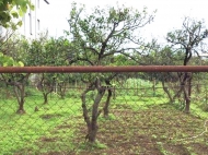 Продается участок с мандариновым садом в Батуми, Грузия. Фото 1