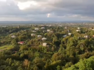 Buy a house in the resort area of Kobuleti, Georgia. Large plot of land with a tangerine orchard. Photo 5