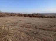 Land parcel, Ground area for sale in the suburbs of Tbilisi, Mukhrani. Photo 1
