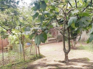 House for sale with a plot of land in the suburbs of Poti, Georgia. Photo 9