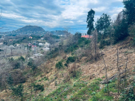 Продажа частного дома в 6 км от Батуми, Аджария, Грузия. Фото 12