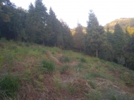 In the surroundings of Batumi, the land plot is sold Photo 4