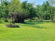 House for sale with a plot of land in the suburbs of Ozurgeti, Georgia. Orchard. Walnut garden. Near the river. Photo 23