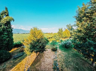 An existing agricultural complex for sale. The best area for Kindzmarauli vineyards. Kvareli, Kakheti, Georgia. Photo 2