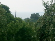 House with sea view. House for sale with tangerine garden in Tsihisdziri, Georgia. Photo 4