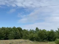 House for sale with a plot of land in the suburbs of Ozurgeti, Georgia. Near the river. Photo 11