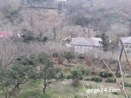 Продается частный дом с земельным участком в пригороде Батуми, Грузия. Фото 8