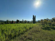 Купить земельный участок в пригороде Самтредиа, Грузия. У реки. Фото 6