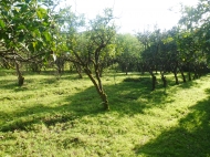 Земельный участок в Батуми Грузия с природным родником Фото 3