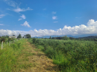 Купить земельный участок в пригороде Озургети. Грузия. У реки. Фото 4
