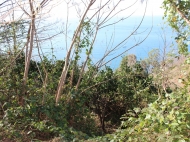 Участок с видом на море в Квариати, Грузия. Фото 3