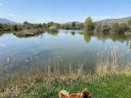 Продается земельный участок в пригороде Гори, Грузия. Фото 2