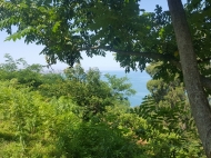 Ground area ( A plot of land ) for sale in Batumi, Georgia. Land with with sea and сity view. Photo 8
