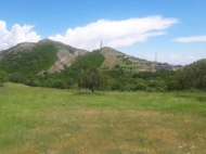Купить земельный участок в пригороде Тбилиси. Фото 3