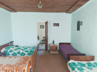 House for sale with a plot of land in the suburbs of Ozurgeti, Georgia. Photo 3