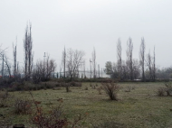 Продается земельный участок в пригороде Тбилиси, Грузия. Фото 3