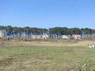 Продается земельный участок у моря в Шекветили, Грузия. Фото 1