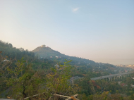 იყიდება მიწის ნაკვეთი ქალაქგარეთ ბათუმი, საქართველო. ზღვის ხედებით. ფოტო 3