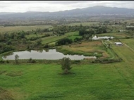 An existing agricultural complex for sale. Fish farm in Telavi, Kakheti, Georgia. Photo 1