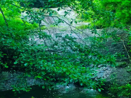 Land parcel, Ground area for sale in the suburbs of Batumi. Akhalsheni. Photo 4