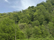 House for sale with a plot of land in Lanchkhuti, Georgia. Photo 17