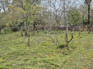 Продается частный дом с земельным участком в Ланчхути, Грузия. Фото 3