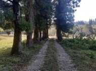 Земельный участок в тихом районе Тхилнари, Батуми, Грузия. Фото 1