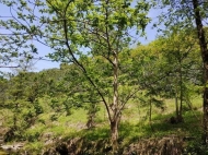 Продается земельный участок в живописном месте. Земельный участок в курортной зоне Чакви, Грузия. Фото 5