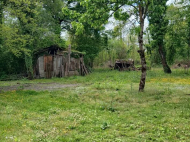 House for sale with a plot of land in the suburbs of Ozurgeti, Georgia. Orchard. Walnut garden. Photo 15