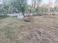 House for sale with a plot of land in the suburbs of Supsa, Georgia. Orchard. Natural spring. Photo 6