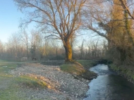 House for sale with a plot of land in Samtredia, Georgia. Near the river. Photo 11