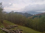 Продажа земли в селе Ахалшени, Аджария, Грузия. Фото 1
