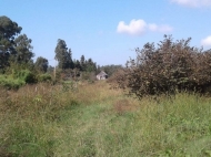 Land parcel, Ground area for sale in Laituri, Ozurgeti. Land with a livestock farm in Laituri, Ozurgeti, Georgia. Photo 5