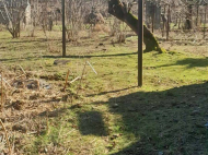 Купить дом с земельным участком в пригороде Озургети, Грузия. Фруктовый сад. Ореховый сад. У реки. Фото 7