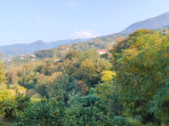 Продаётся двухэтажный частный дом в окрестностях Кобулети. Фото 11