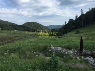 Ground area ( A plot of land ) for sale in Bakuriani. Georgia. Near the cableway Photo 5