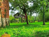 Купить дом в курортном районе Цхалтубо, Грузия. Фруктовый сад. У реки. Фото 2