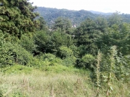 Продажа земельного участка в селе Хелвачаури, Аджария, Грузия. Фото 7