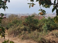 в Батуми продаётся участок земли с видом на город, Батуми. Фото 3