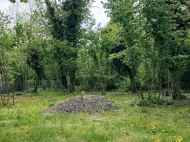House for sale with a plot of land in the suburbs of Ozurgeti, Georgia. Orchard. Walnut garden. Photo 16