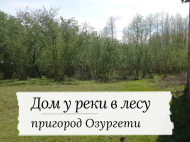 House for sale with a plot of land in the suburbs of Ozurgeti, Georgia. Photo 1