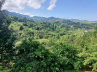 House for sale in a resort district of Chakvi, Chaisubani. Photo 10